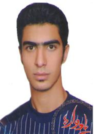 استادی