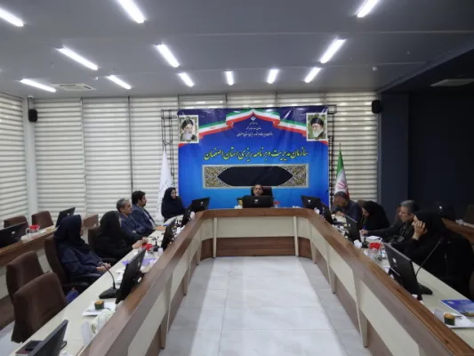 Picture of the Provincial Health Monitoring Committee meeting