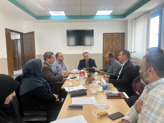 Image of the meeting to review the progress of the insurance rules engine project