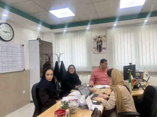 Image of the Referral System Committee Working Group