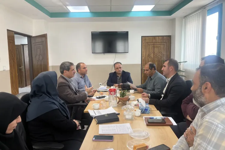 Image of the meeting to review the progress of the insurance rules engine project