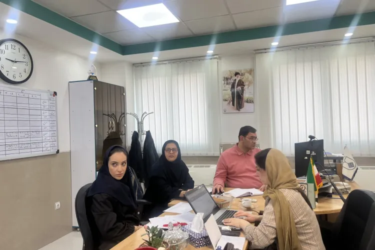 Image of the Referral System Committee Working Group