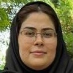 مهندس آدمی
